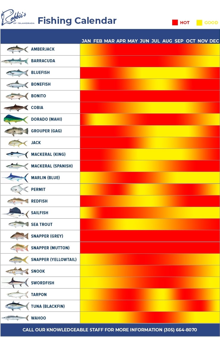 Fishing Calendar in Islamorada