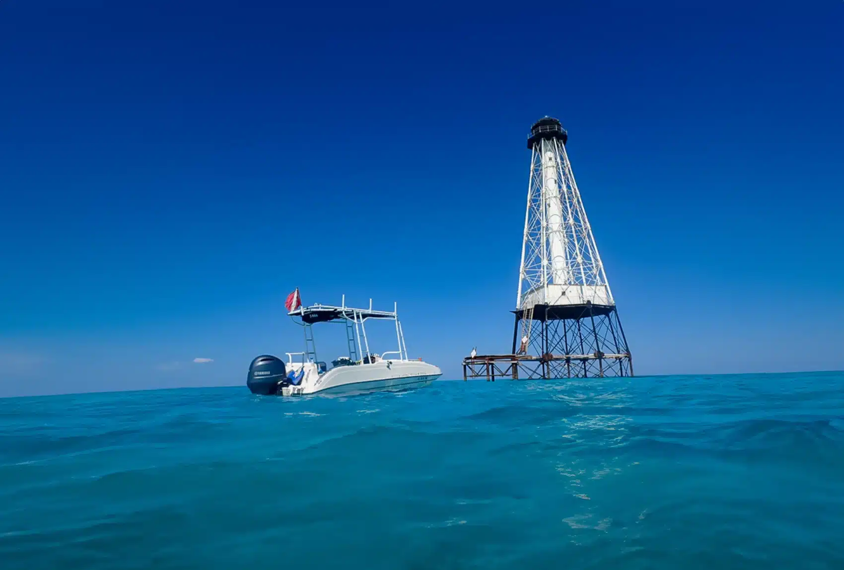 Eco-Tours Charter in Islamorada