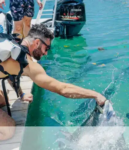 Feeding the tarpon at Robbies of Islamorada