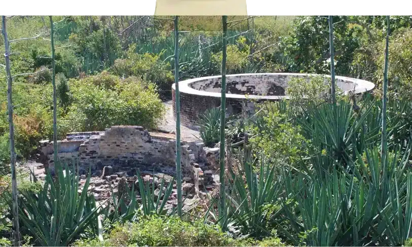 Indian Key Cistern