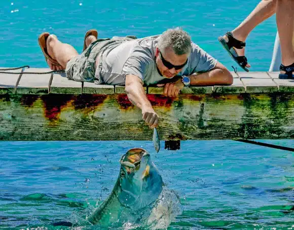 Man feeding tarpon