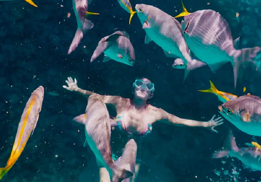 SNORKELING AT THE KEYS