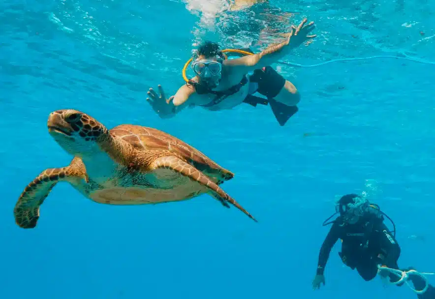 SNUBA DIVING IN ISLAMORADA