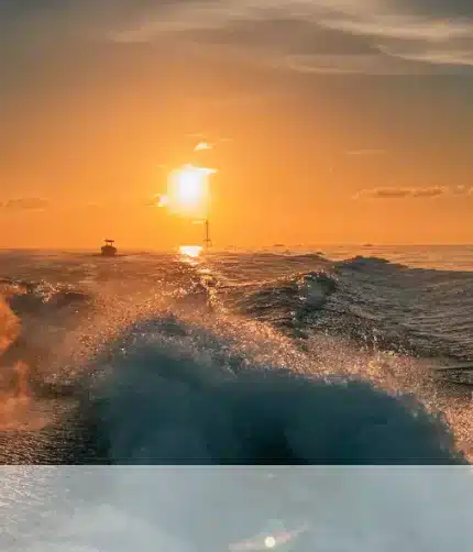 Sunset Cruises in Islamorada